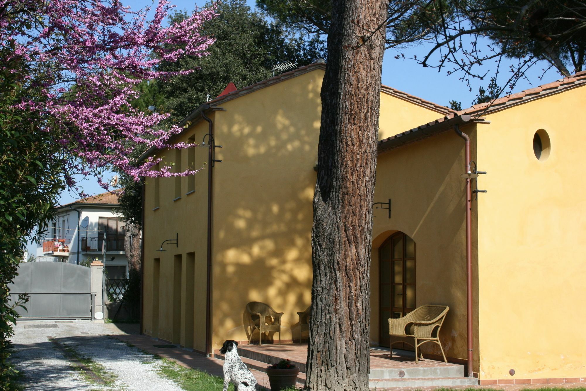 Pisa Holidays Bed & Breakfast